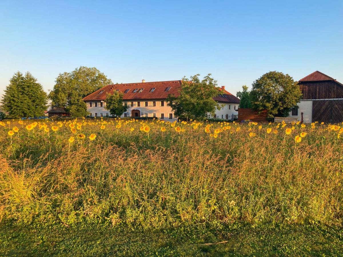 Bauernhofpension Herzog Zu Laah Hotel Линц Екстериор снимка