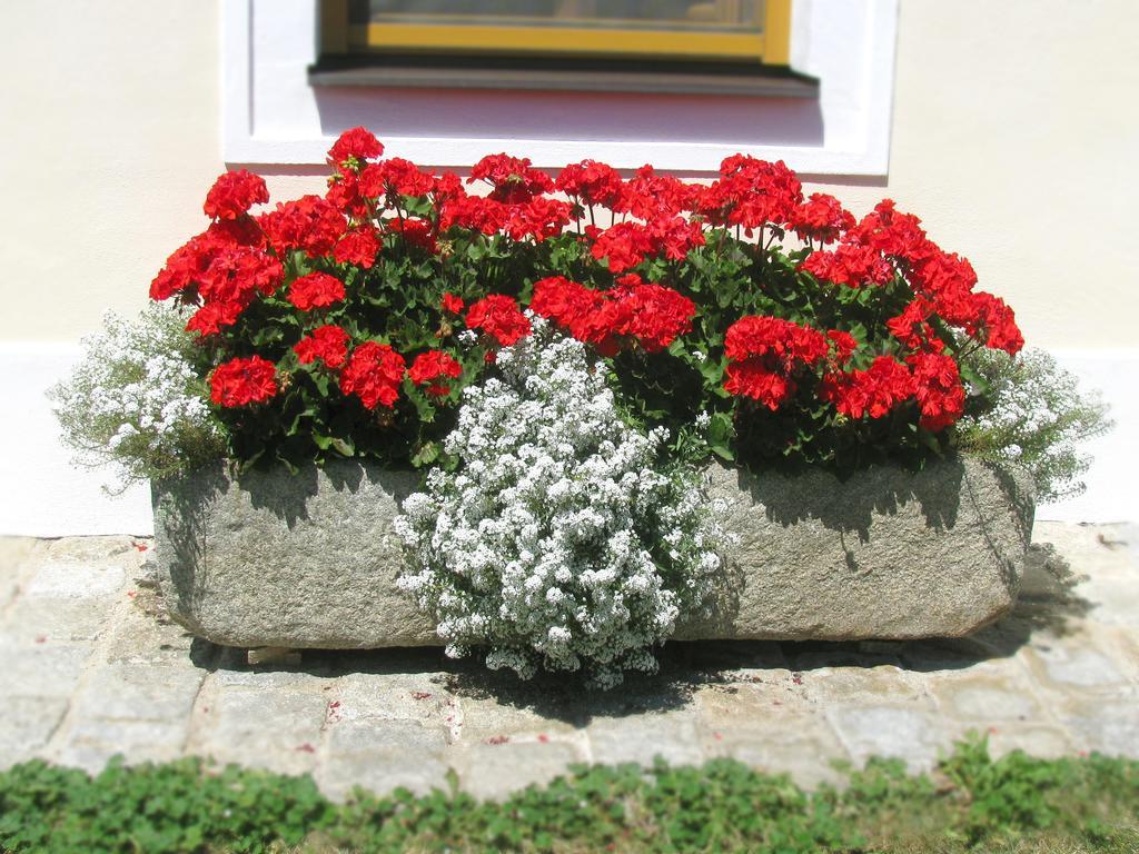 Bauernhofpension Herzog Zu Laah Hotel Линц Екстериор снимка