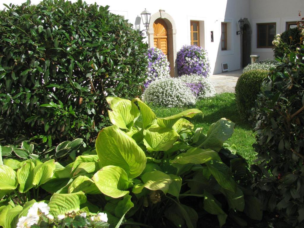 Bauernhofpension Herzog Zu Laah Hotel Линц Екстериор снимка