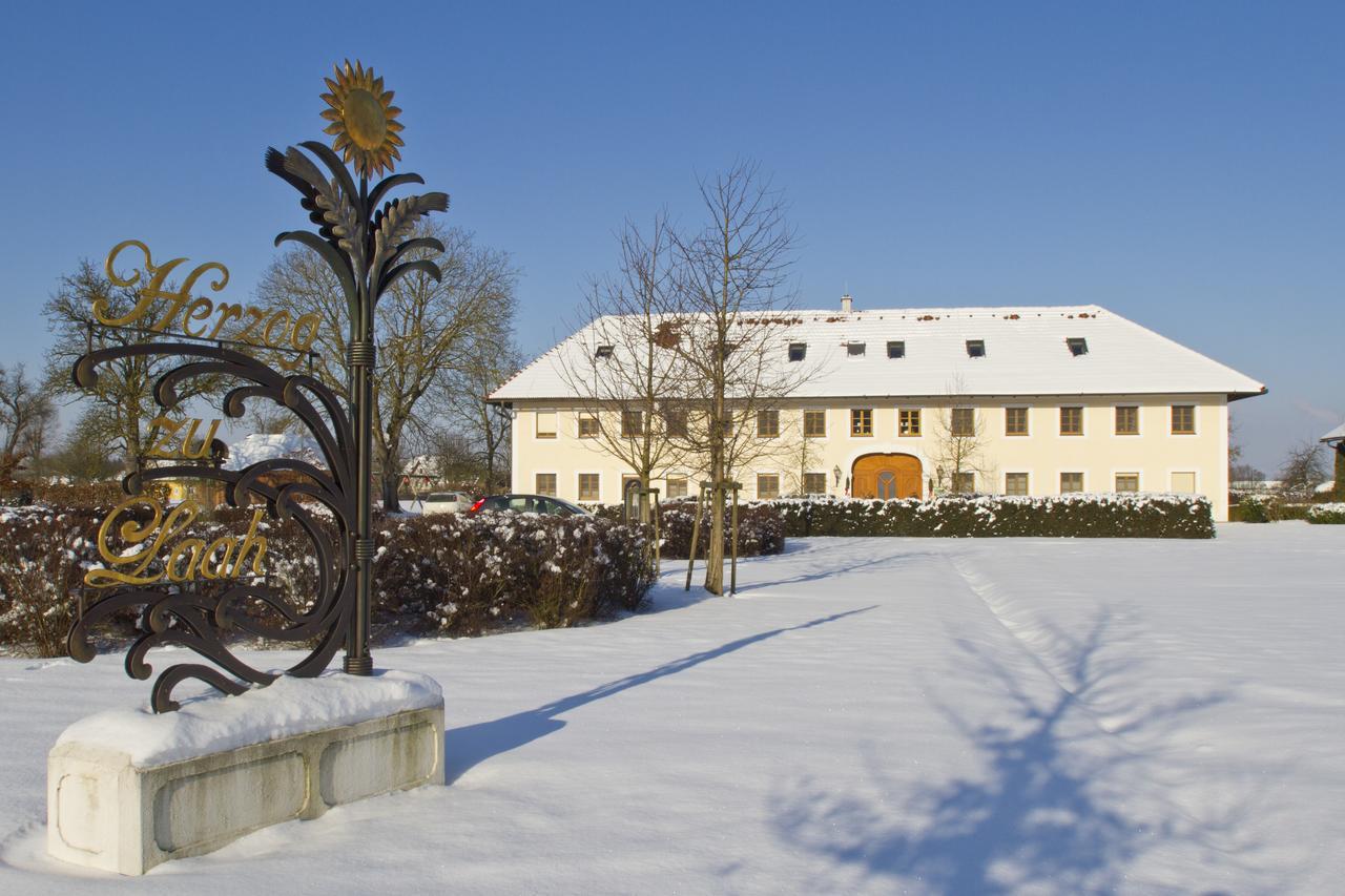 Bauernhofpension Herzog Zu Laah Hotel Линц Екстериор снимка