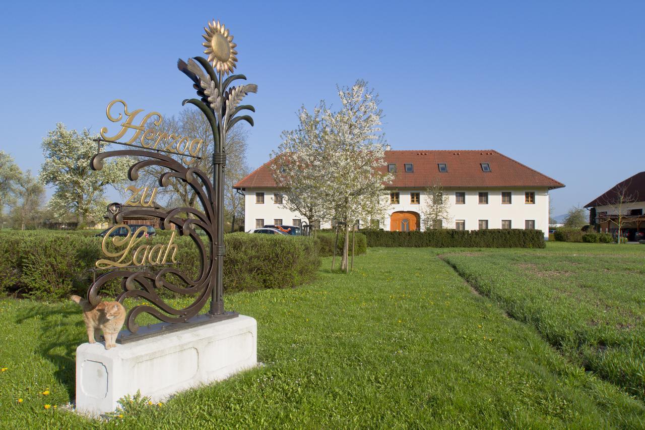 Bauernhofpension Herzog Zu Laah Hotel Линц Екстериор снимка