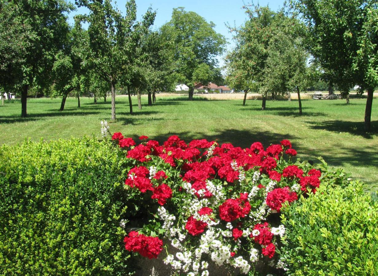 Bauernhofpension Herzog Zu Laah Hotel Линц Екстериор снимка